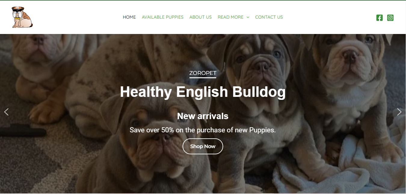 zoropet web illustrators